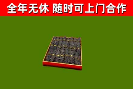 大埔县回收海参
